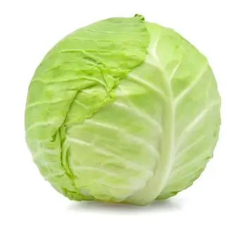 Supply green cabbage 1Piece
