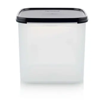 Tupperware S.S.-SQUARE Jet Black Plastic Container 4L