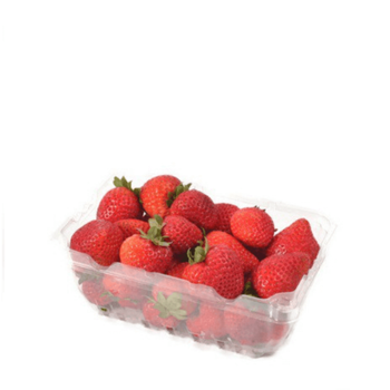 Supply USA / Chile / Africa Strawberry 250g