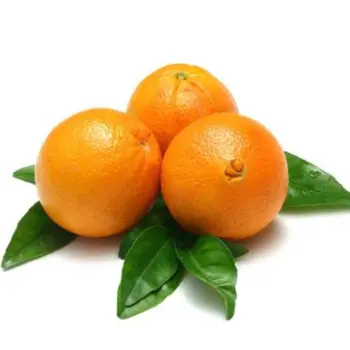 Al Zain Orange Navel Egyption 500g