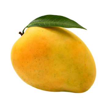 مانجو تومي مكسيكي 500جرام