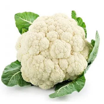 Local Cauliflower Durrat Janayen