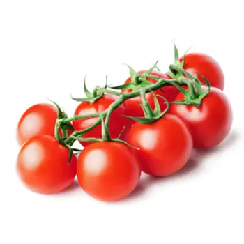 Tahdir Bak Red Cherry Tomatoes Morocco