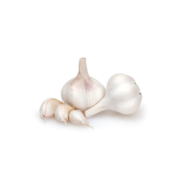 Garlic India