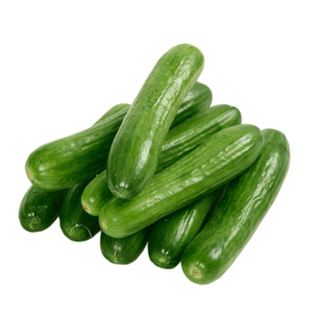 Cucumber Local 500 g - Gulf Fruit