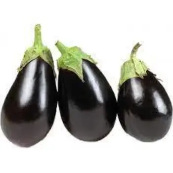 Organic Egplant 750g - Alsalwa