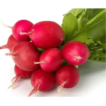 Alsalwa Organic Red Radish 250g