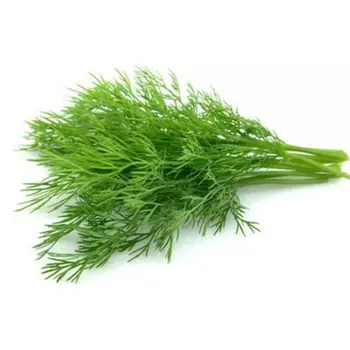 Organic Dill 150g - Alsalwa