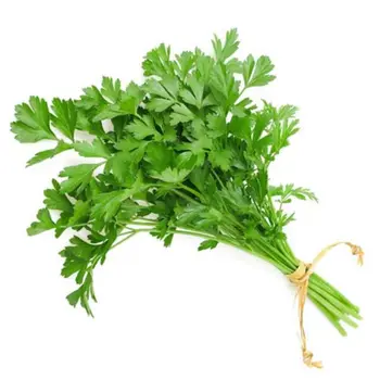 Alsalwa Organic Parsley 150g