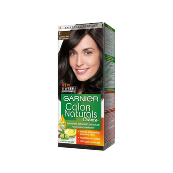 Garnier Color Naturals Glossy Black Hair Color
