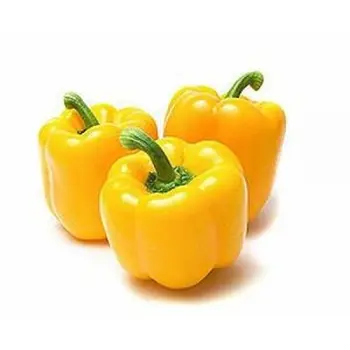 Capsicom Yellow 1kg