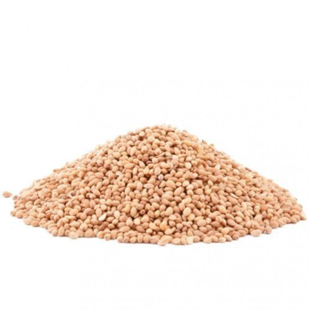 محلب سوري حب 250جرام