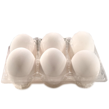 فريش جولد بيض حجم كبير 6حبة