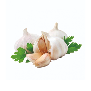 Fresh Garlic Bunch Loose