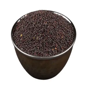 Seed Mustard 250g
