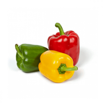 First Class Colored Peppers 1kg