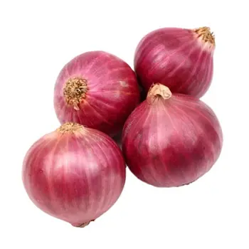 بصل أحمر 1كيلو