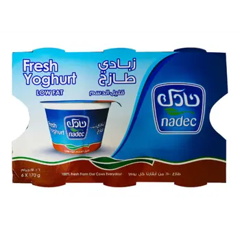 Nadec Low Fat Fresh Yogurt 6x170g