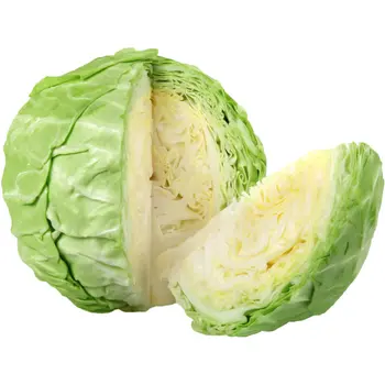 Organic Green Cabbage Loose