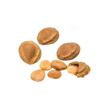 Al Alkaif Apricot Seeds 125g