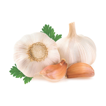 Fresh Garlic 500g