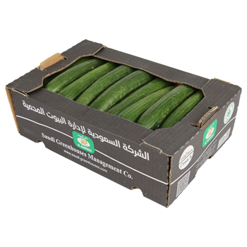 الرشيد كرتون خيار 2.8 كيلو