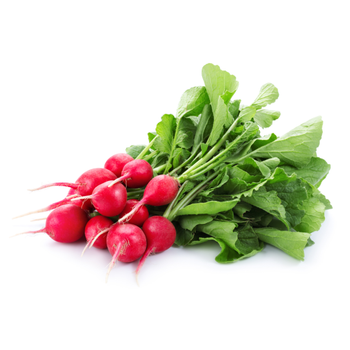 ثمارنا فجل أحمر محلي 1ربطة