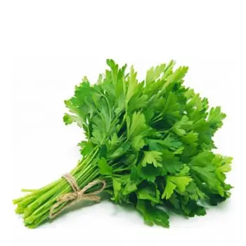 Coriander Al Qassim Bundle 1Piece
