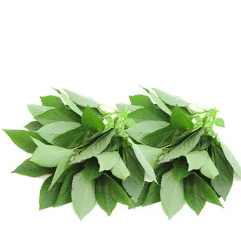 Fresh Molukhia Leaves 250g