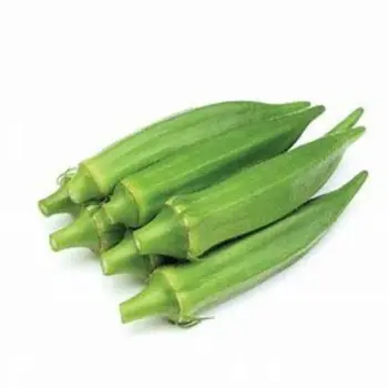 AlZain Fresh Okra 250g