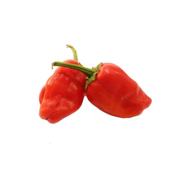 AlZain Red Sweet Pepper 250g