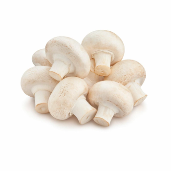 AlZain White Mushrooms 1Pack