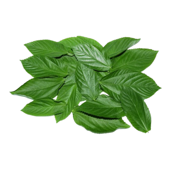 Gulf Fruit Molokhia Leaves 200g