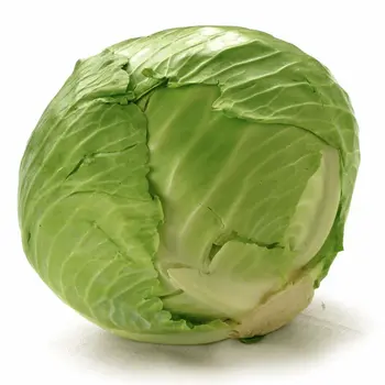Fresh Cabbage 1kg