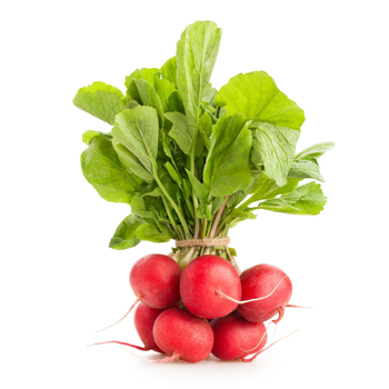 فجل احمر 1حزمة