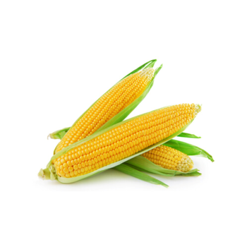 امداد ذرة حلوة محلي  3 حبات