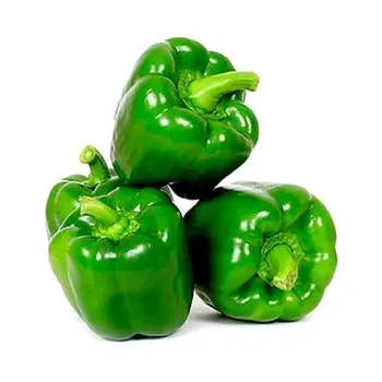 Green Bell Pepper 500g