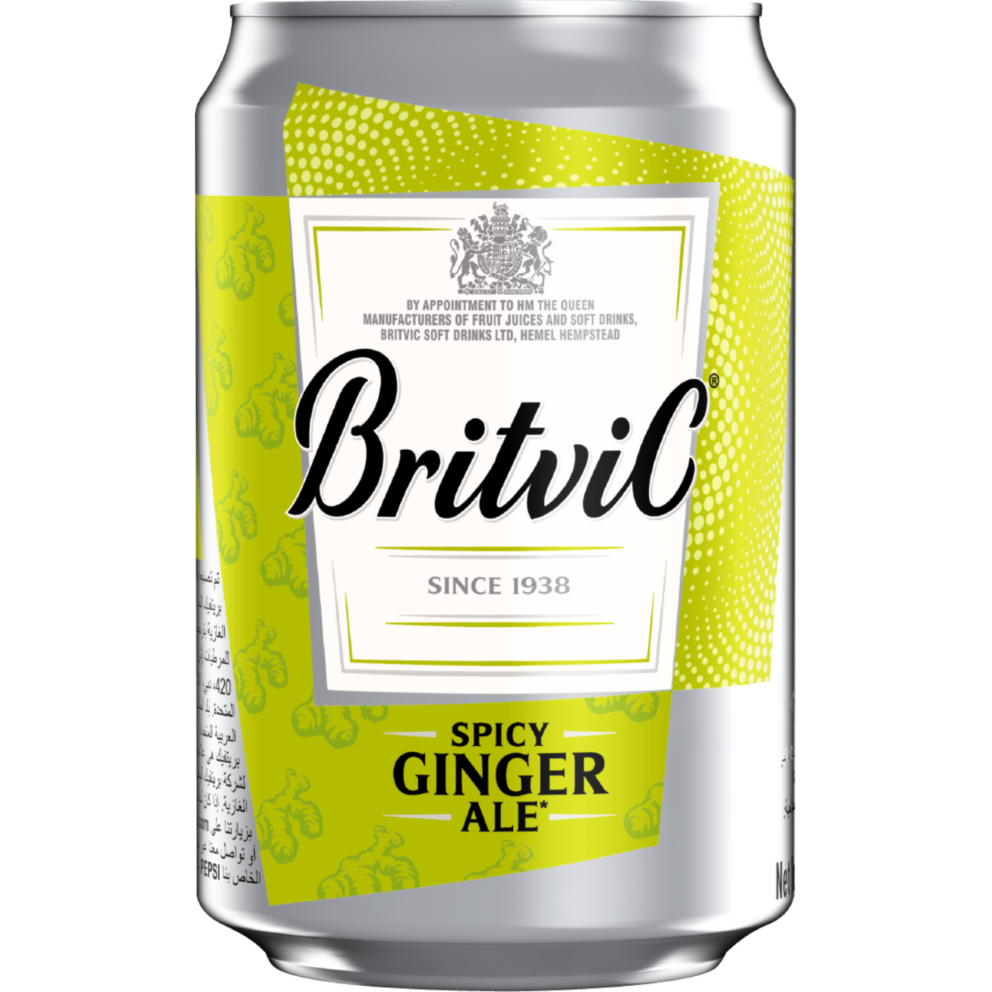Britvic Spicy Ginger Ale 300ml