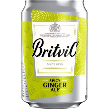 Britvic Spicy Ginger Ale 300ml