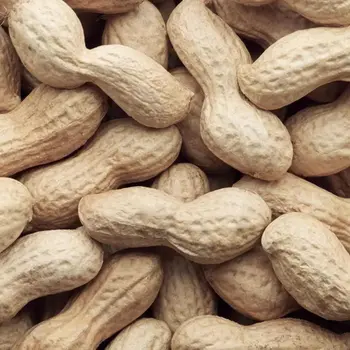 Peanuts In Shell 250g