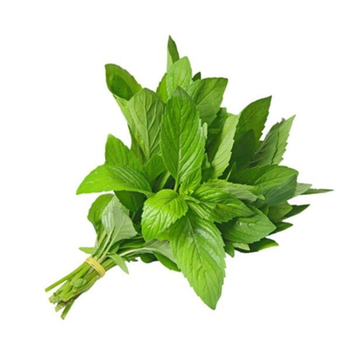 نعناع 1حزمة