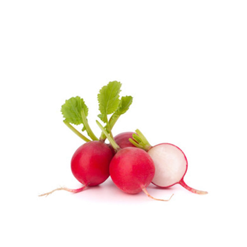 Red Radish 150g
