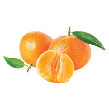 Moroccan Tangerine Orange 1kg