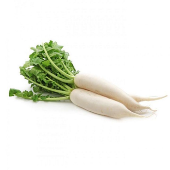 فجل أبيض 1حزمة