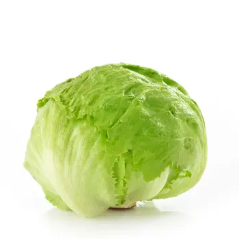 خس أمريكي 1قطعة