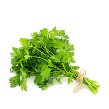 كزبرة 1حزمة