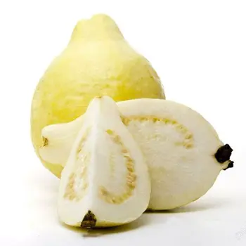 جوافة 500جرام