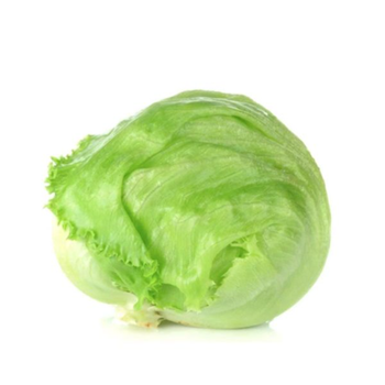 خس مدور