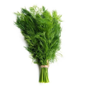 Fresh Dill Loose