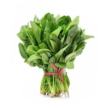 Fresh Spinach Local 1 Bunch